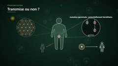 Mutation somatique ou germinale