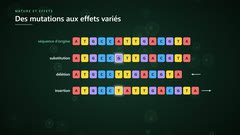 Substitution, délétion, insertion