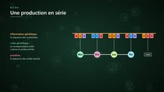 De l’ARN messager à la protéine