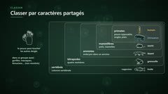 Classer en groupes emboîtés