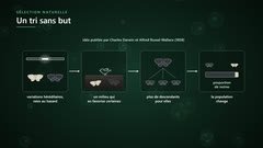 Le mécanisme de la sélection naturelle