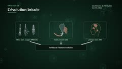 Des caractères hérités de l'histoire évolutive