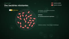 La sélection des bactéries résistantes
