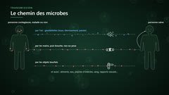 Les chemins des microbes