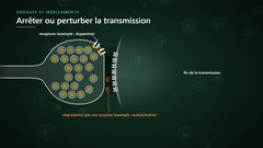 Fin de la transmission : recapture ou dégradation du neurotransmetteur
