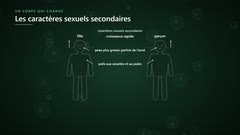 Les caractères sexuels secondaires communs aux filles et aux garçons