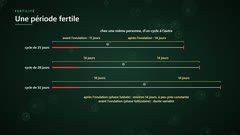 Une phase après l'ovulation d'environ 14 jours